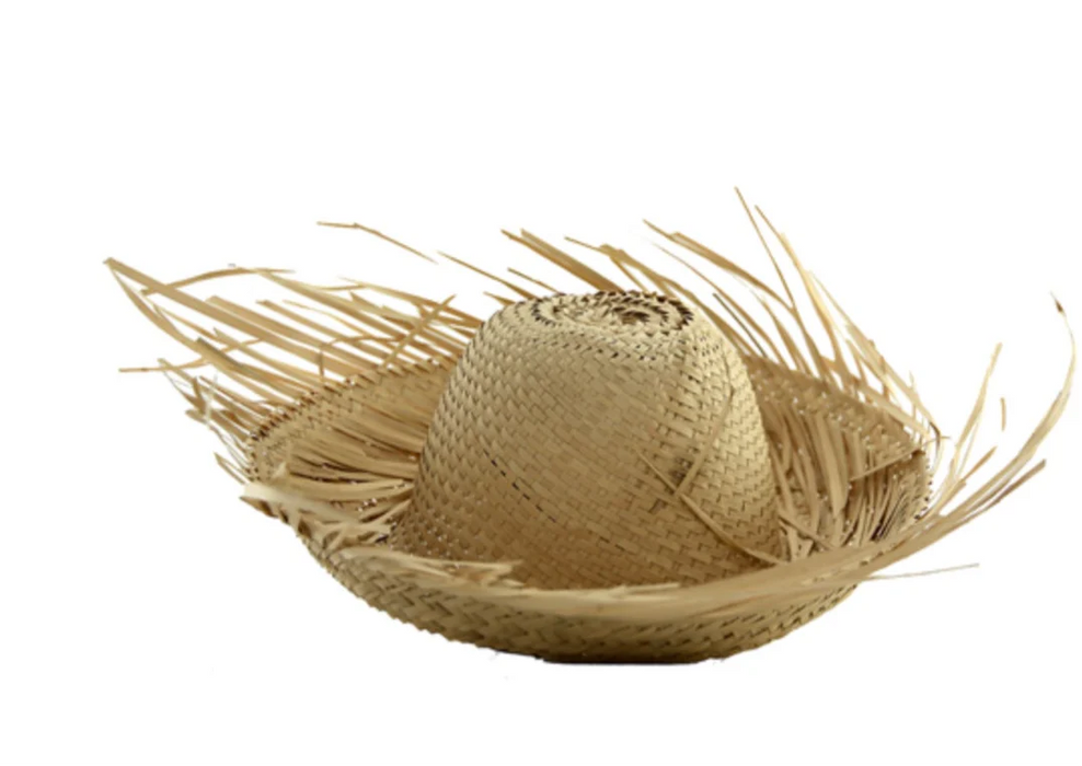 Pava Puertorriqueña