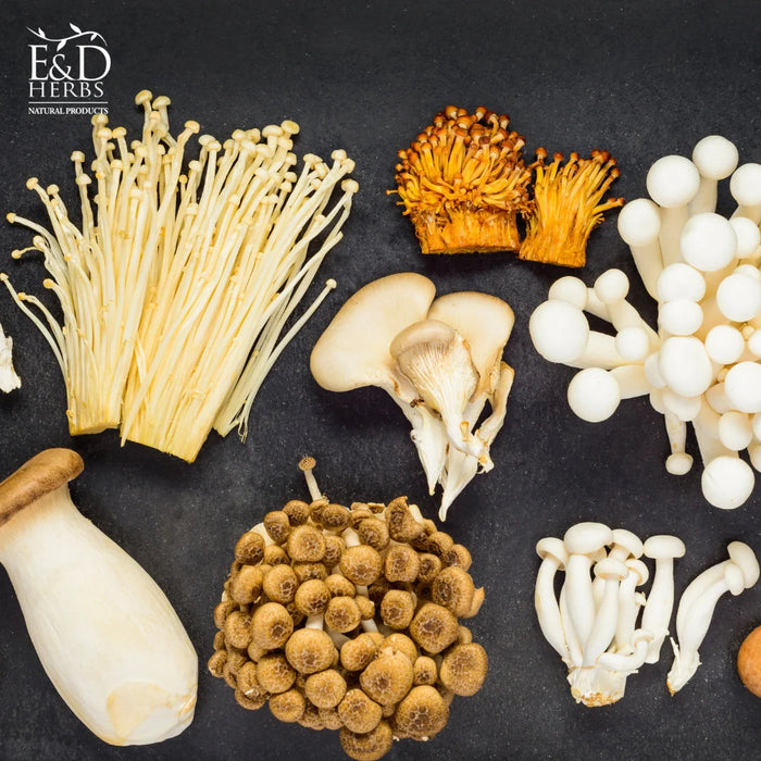 E&D HERBS MUSHROOM COMPLETE